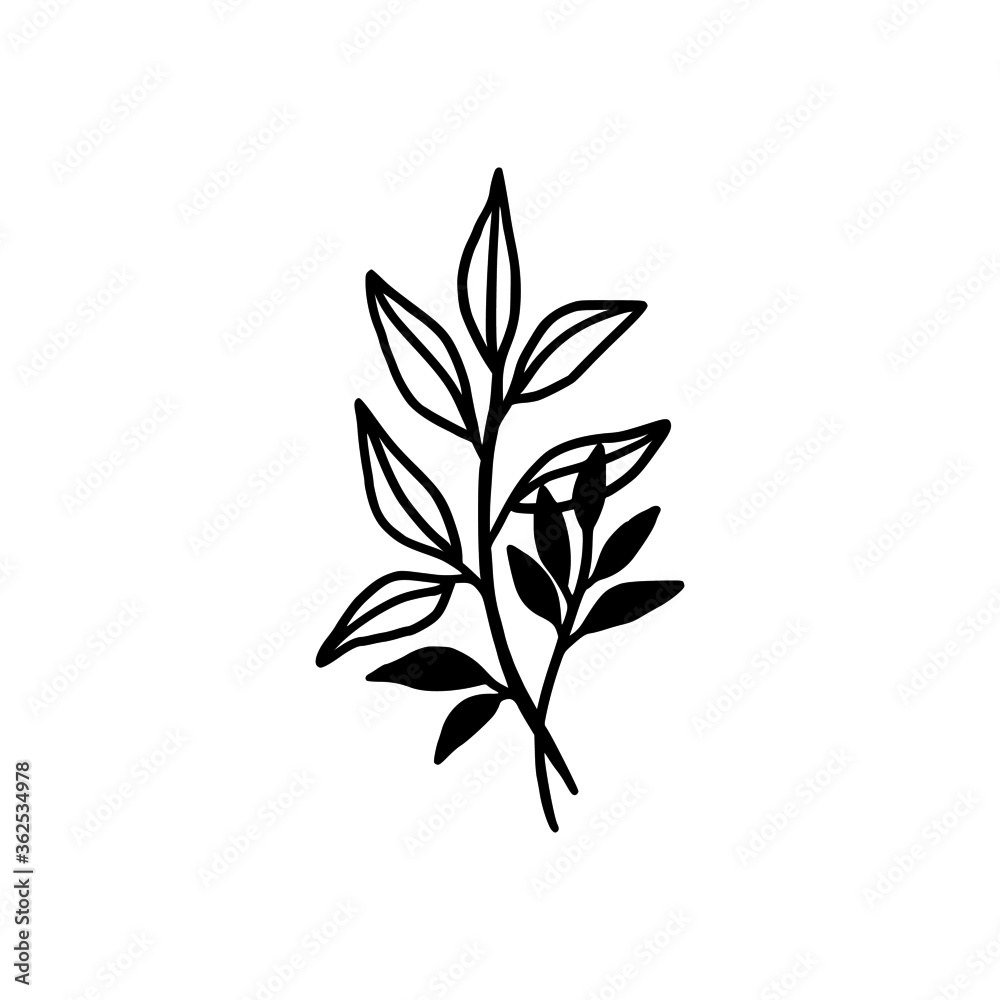 Fototapeta premium Hand drawn monochrome plant, leaf logo element. Symbol, greeting cards, botanical icon, or banner. Summer, spring, and autumn botany element