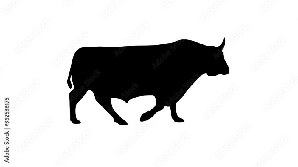 Silhouette of the walking bull, animation on the white background Silhouette of the walking bull, animation on the white background