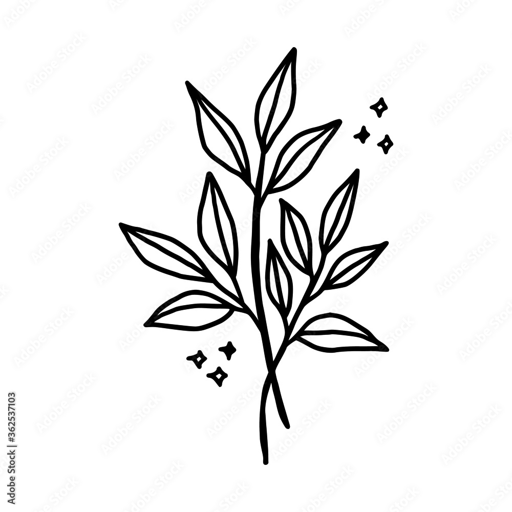 tiny simple botanical leaf illustration, line art, minimal design element. elegant and delicate monochrome plant for branding, wedding invitation, floral clip art, feminine beauty logo or icon