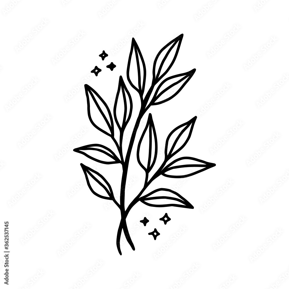 Hand drawn monochrome plant, leaf logo element. Symbol, greeting cards, botanical icon, or banner. Summer, spring, and autumn botany element