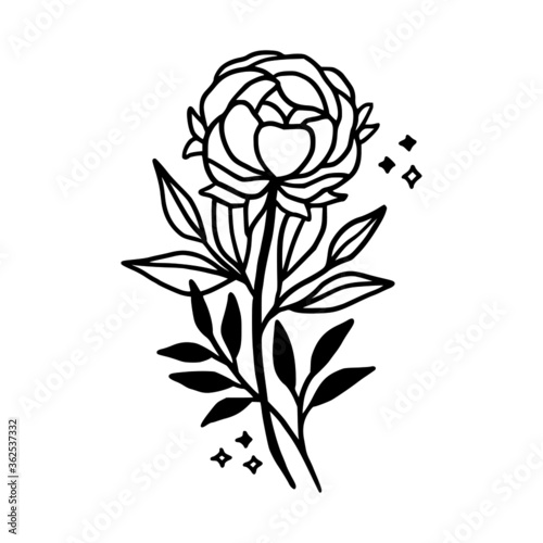 Hand drawn peony flower element. Floral line art for feminine beauty logo  icon  business card  wedding invitation  or decoration