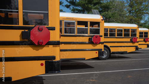 Row of back ends of parked yellow school buses with red safety stop signs used to signal oncoming traffic when loading and unloading students photo