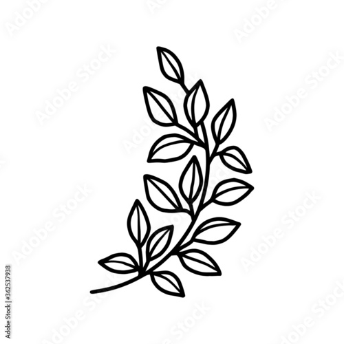 tiny simple botanical leaf illustration, line art, minimal design element. elegant and delicate monochrome plant for branding, wedding invitation, floral clip art, feminine beauty logo or icon © Artflorara