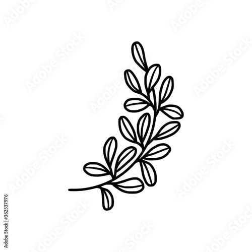 tiny simple botanical leaf illustration  line art  minimal design element. elegant and delicate monochrome plant for branding  wedding invitation  floral clip art  feminine beauty logo or icon