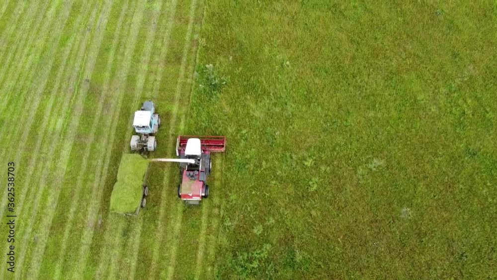 Aerial photography. Wide and close-up shots of a harvester cutting green grass. Birds of prey swirl over cars. The concept of sustainable biofuels and organic food. Aerial photography. Wide and close-up shots of a harvester cutting green grass. Birds of prey swirl over cars. The concept of sustainable biofuels and organic food.