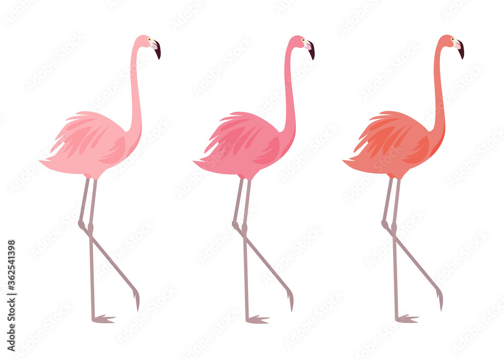 Obraz premium Flamingos in different colors isolated on a white background. Stylish vector elements for cards, posters, banners and other designs.