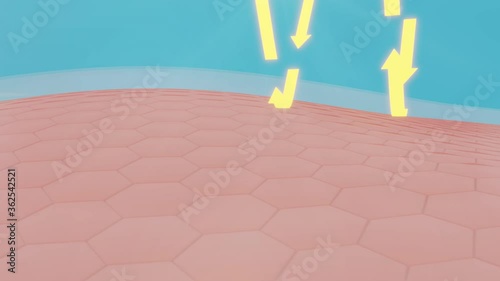 Animation UV protection for skin. Shield reflect the ultraviolet. Skin care concept.