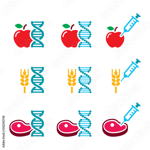 Food DNA, genetically modified food GMO vector color icon set 
 