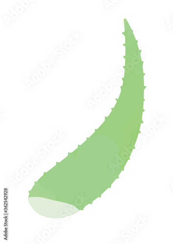 アロエのイラスト