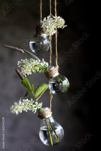 Still-life with bouquet of spring bird cherry branches with flowers and young leaves.
