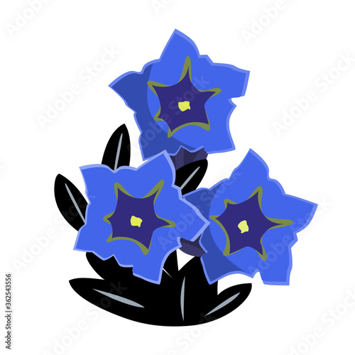 Gentian flowers or Gentiana acaulis isolated on white. Vector illustartion photo