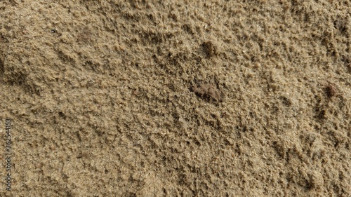 Sand texture. Background of fine river sand.
