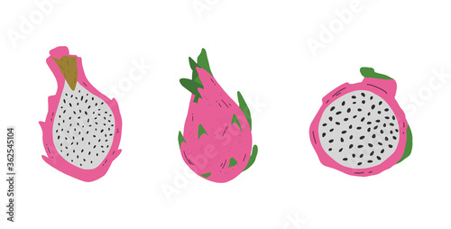 Vector pink pitayas isolated on white background. Hand drawn pitahaya clip art. Exotic tropical dragon fruit.