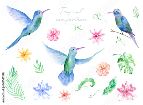 Watercolor set with tropical flowers, leaves and hummingbird. Hawaiian exotic illustrations for greeting card, wedding, wallpaper © iryna_boiko