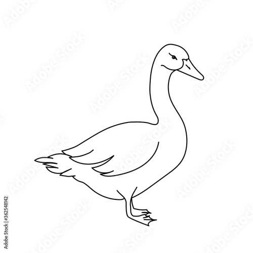 Goose line drawing. Minimalistic style for logo, icons, emblems, template, badges. Isolated on white background. Vector illustration