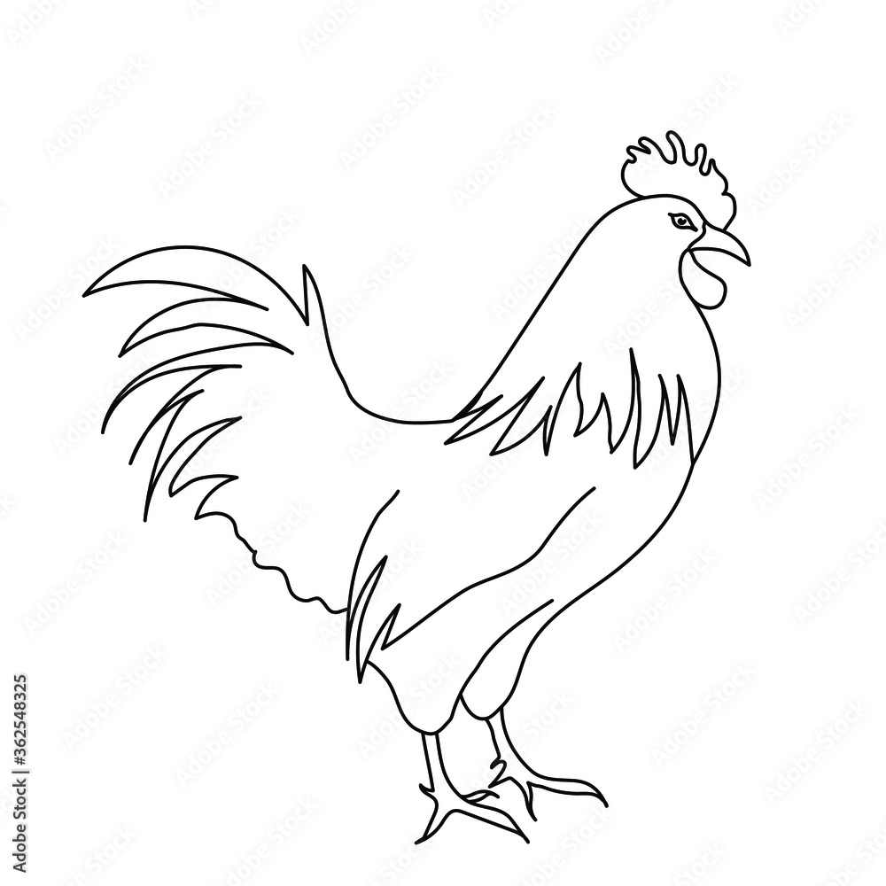 Rooster line drawing. The minimalistic style for logo, icons, emblems