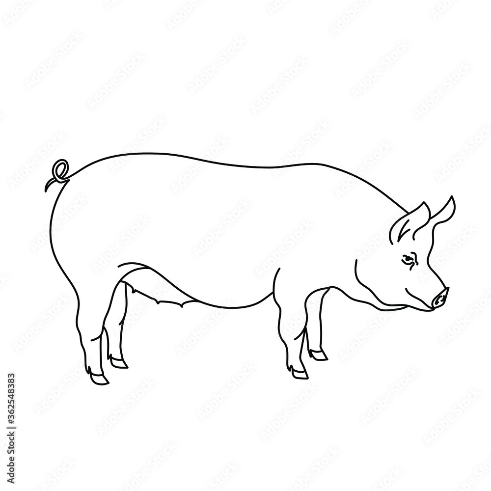 Pig line drawing. The minimalistic style for logo, icons, emblems, template, badges. Isolated on white background. Vector illustration Pig line drawing. The minimalistic style for logo, icons, emblems, template, badges. Isolated on white background. Vector illustration