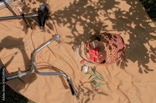 vintage floral background