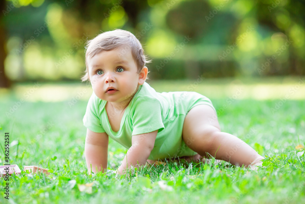 Cute toddler in green bodysuit crawls on the grass in the summer. The baby learns to crawl on the grass. Cute toddler in green bodysuit crawls on the grass in the summer. The baby learns to crawl on the grass.