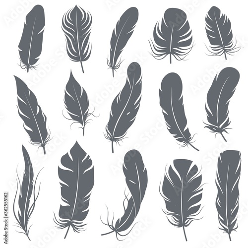 Feather silhouettes. Different feathering birds, graphic simple shapes pen decorative elements, black elegant sketch plume wings vector set