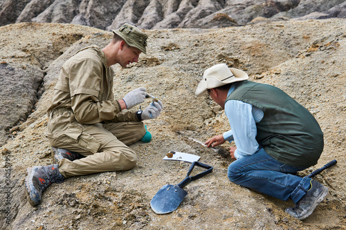 Photos paleontologists have discovered a fossils in the desert