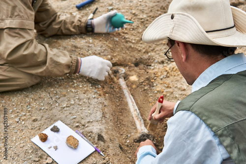 paleontologists have discovered a fossil in the desert