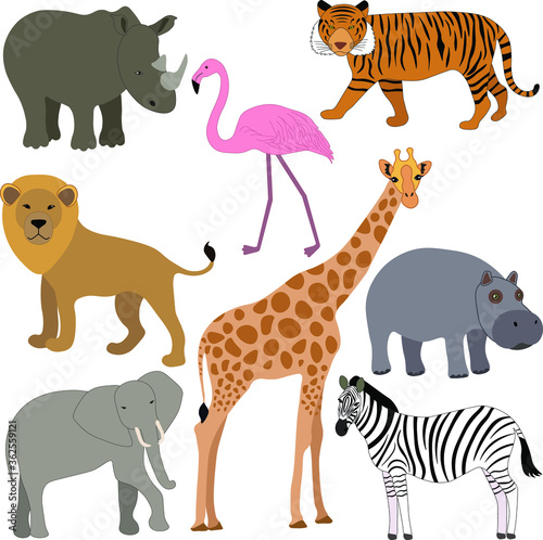 Wild animals  giraffe  hippo  rhino  flamingo  tiger  zebra  elephant and lion  set of wild animals