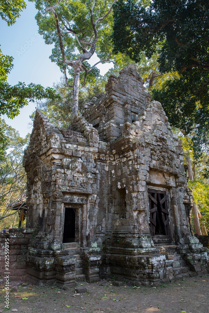 Ancient Preah Palilay temple in Angkor Thom and huge Banyan trees. Angkor, Cambodia.