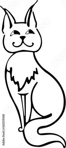 sly cat-hand-drawn drawing,black and white linear drawing