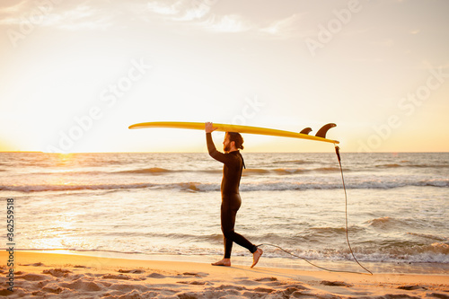 Fotografie Young fit surfer in wetsuit with blank yellow surfing longboard walk from water at sunset ocean
