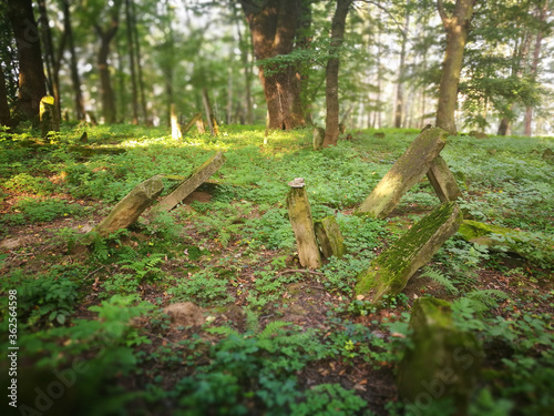 Kirkut, abandoned Jewish cemetery on Lesko, Poland. photo