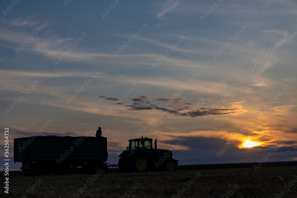 Obraz premium Agricultural Season Harvest Time, Colorful Dramatic Sky At Sunset