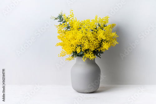 Fototapeta Naklejka Na Ścianę i Meble -  A beautiful floral arrangement of Australian native yellow wattle/acacia flowers in a grey vase on a white table with a white background. Know as Acacia baileyana or Cootamundra wattle.