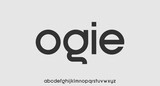 the graceful and elegant typeface display font 