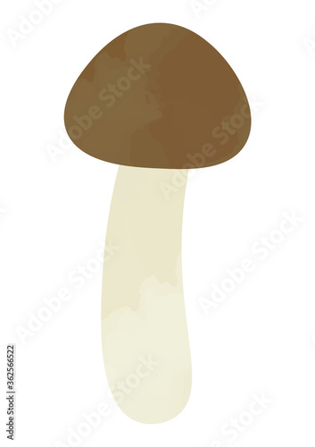 シメジのイラスト