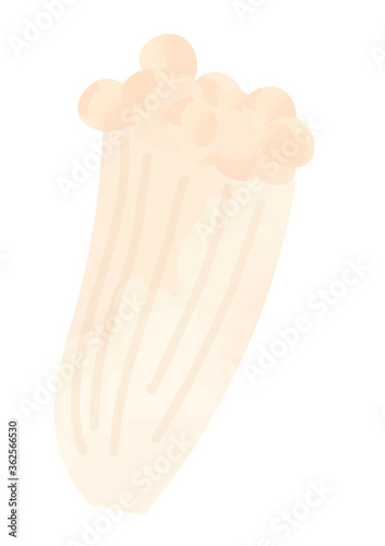 エノキダケのイラスト