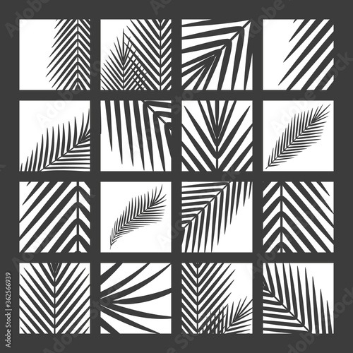 Black fern on white background. Vector silhouettes collection.
