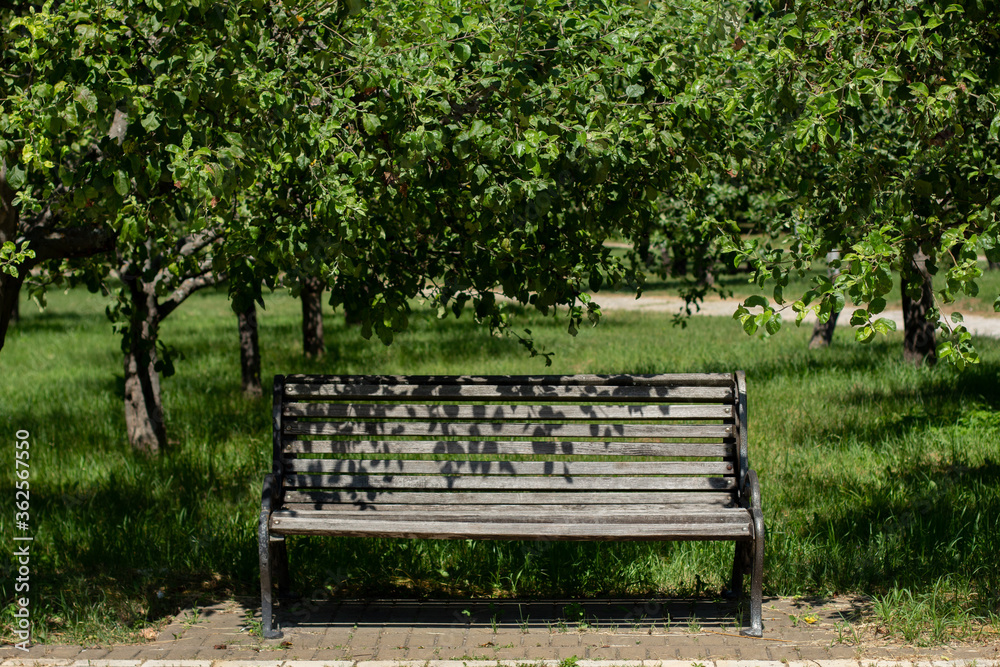 wooden bench in a large garden wooden bench in a large garden