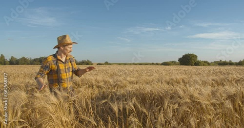 Caucasian conceptual man farmer agronomist in a hat goes and looking to a wheat field. Portrait. agriculture business. side face view. wide angle shot
