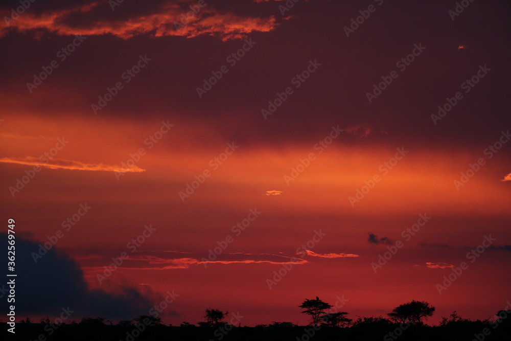 Sunset in savannah in kenya