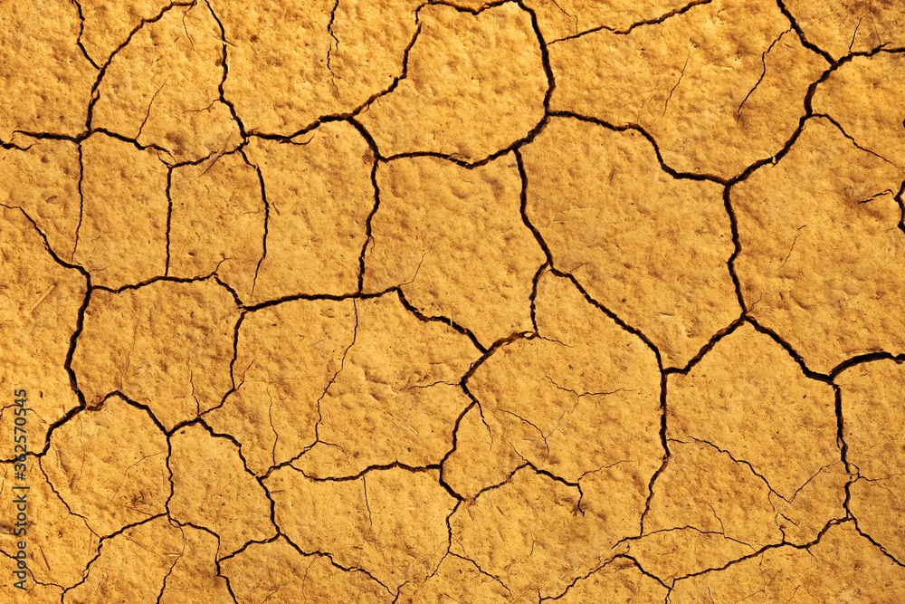 Soil background is drought cracking and Arid soil texture Soil background is drought cracking and Arid soil texture