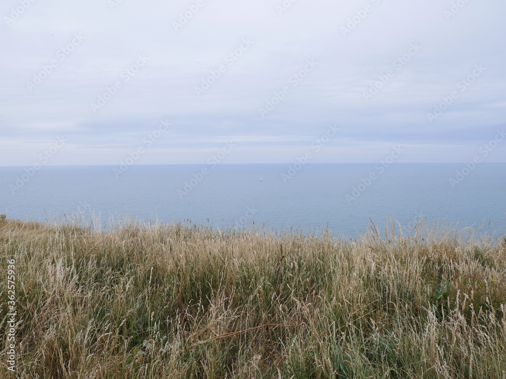 Falaise Etretat Mer Côte Panorama Falaise Etretat Mer Côte Panorama