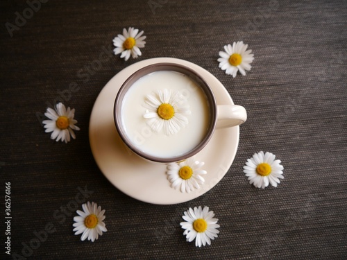 Milk in the cup and beautiful daisy on the table.