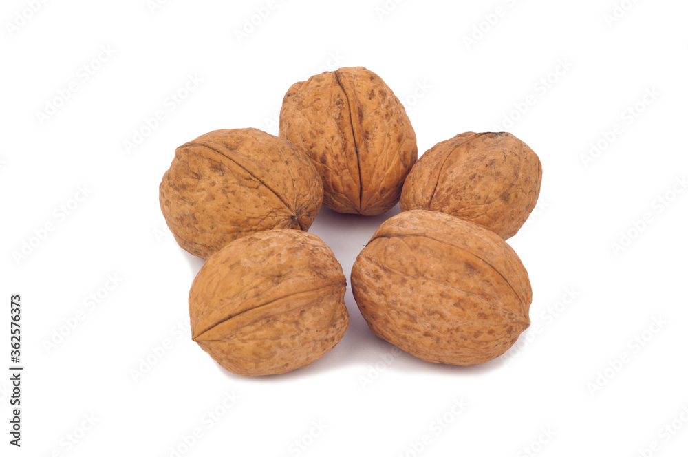 walnut isolated on white background walnut isolated on white background