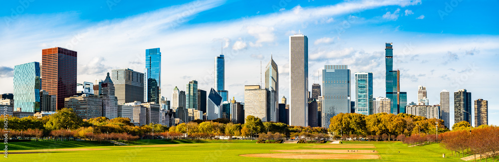 Obraz premium Skyline of Chicago at Grant Park in Illinois - United States