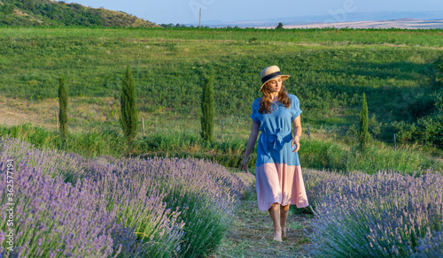 Girl in lavender field. Summer