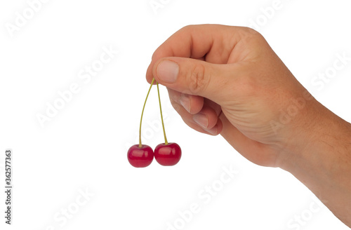 cherries in hand isolated on white background © Саша Шикор