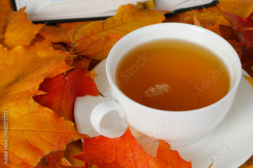 White cup of herbal tea and a book among the fall foliage. photo