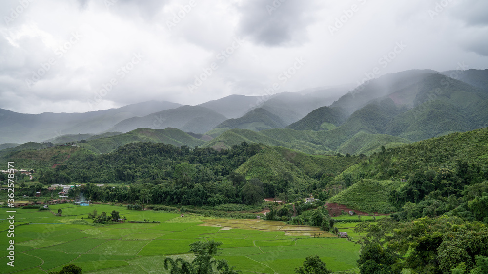 Mountain views and rice fields are raining.
Rainy season in Northern Thailand, Nan