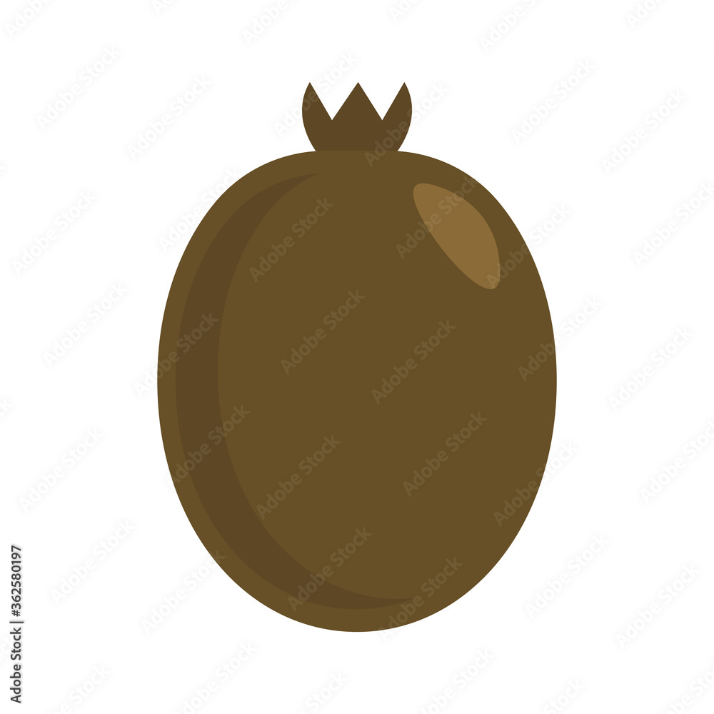 kiwi flat style icon design, Fruit healthy organic food sweet and nature theme Vector illustration kiwi flat style icon design, Fruit healthy organic food sweet and nature theme Vector illustration